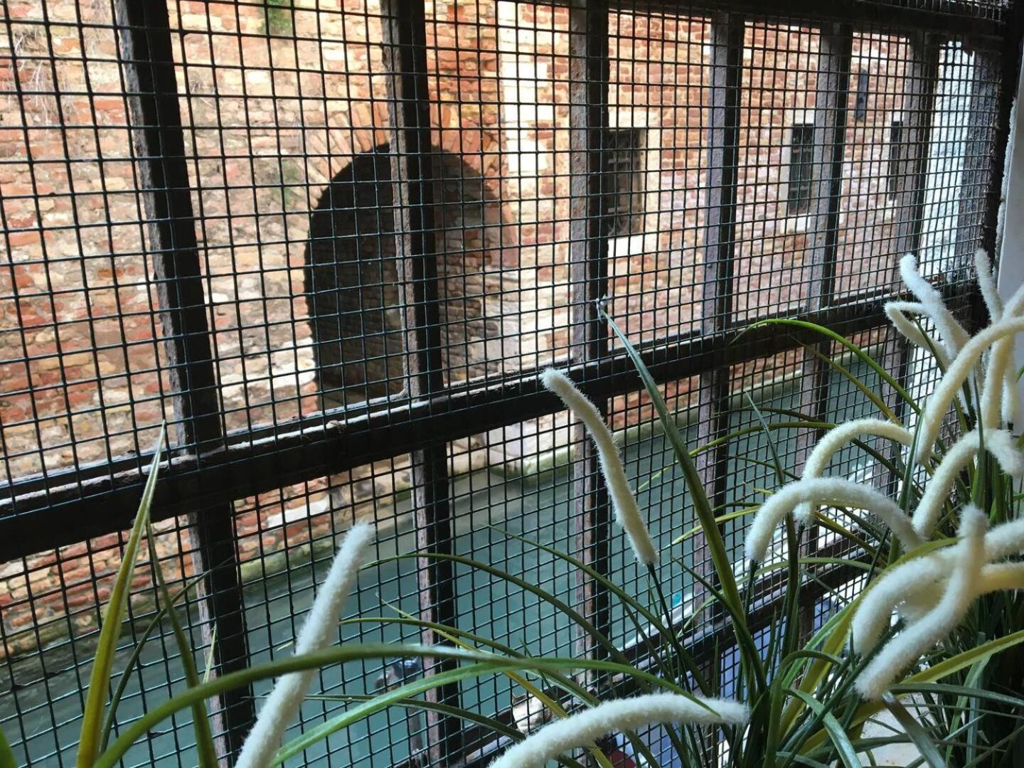 Apartamento Mascherone